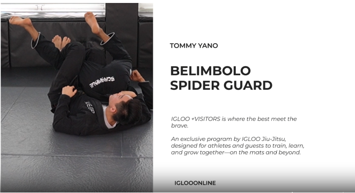 BERIMBOLO FROM SPIDER GUARD/TOMMY YANO