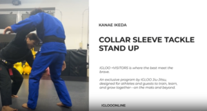 COLLAR SLEEVE TACKLE FROM STAND UP/KANAE IKEDA