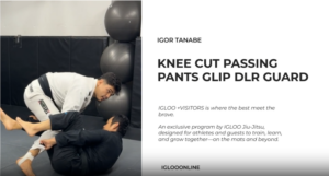 KNEE CUT PASSING AGAINST PANTS GRIP DLR GUARD/IGOR TANABE
