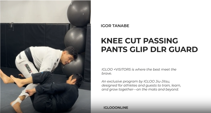 KNEE CUT PASSING AGAINST PANTS GRIP DLR GUARD/IGOR TANABE