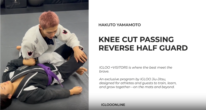 KNEE CUT PASSING AGAINST REVERSE HALF GUARD/HAKUTO YAMAMOTO
