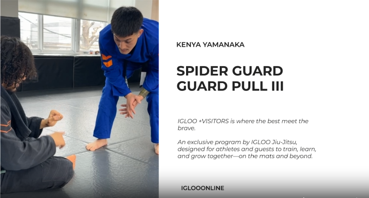 SPIDER GUARD PULL III/KENYA YAMANAKA