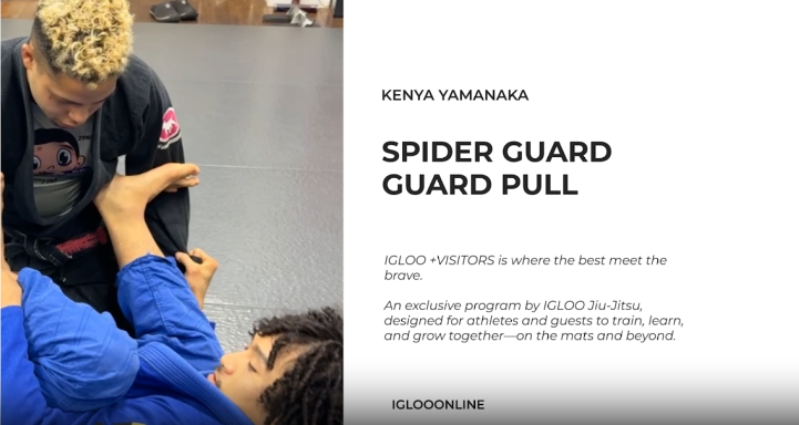 SPIDER GUARD PULL/KENYA YAMANAKA