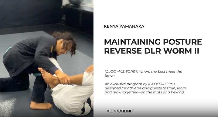 MAINTAINING POSTURE AGAINST REVERSE DLR WORM GUARD II/KENYA YAMANAKA