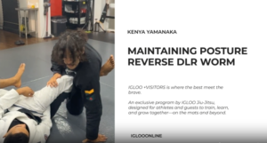 MAINTAINING POSTURE AGAINST REVERSE DLR WORM GUARD/KENYA YAMANAKA