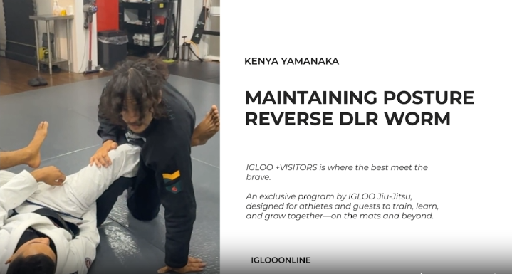 MAINTAINING POSTURE AGAINST REVERSE DLR WORM GUARD/KENYA YAMANAKA