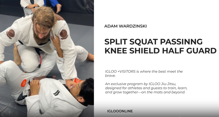 SPLIT SQUAT PASSING AGAINST KNEE SHIELD HALF GUARD/ADAM WARDZINSKI
