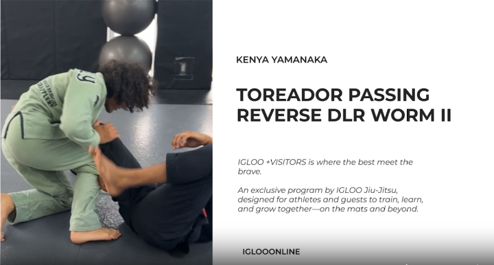 TOREADOR PASSING AGAINST REVERSE DLR WORM GUARD II/KENYA YAMANAKA
