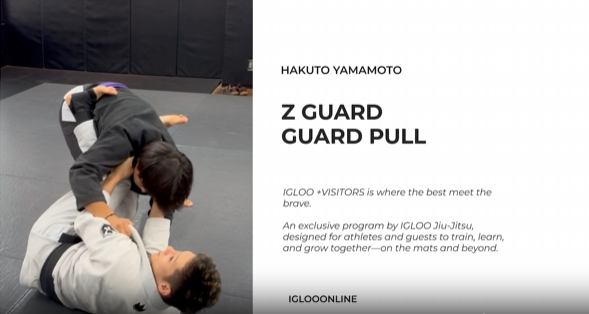Z GUARD PULL/HAKUTO YAMAMOTO
