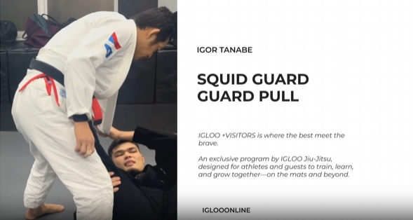 SQUID GUARD PULL/IGOR TANABE