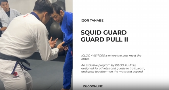 SQUID GUARD PULL II/IGOR TANABE