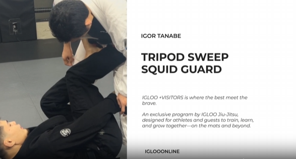 TRIPOD SWEEP FROM SQUID GUARD/IGOR TANABE