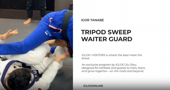 TRIPOD SWEEP FROM WAITER GUARD/IGOR TANABE
