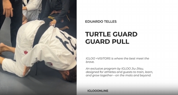 TURTLE GUARD PULL/EDUARDO TELLES