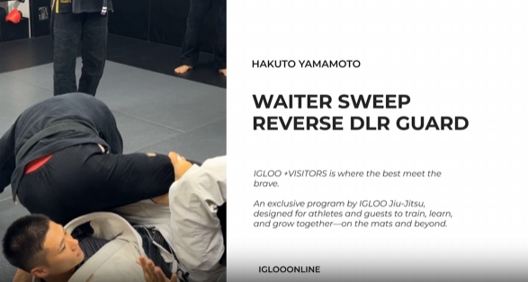 WAITER SWEEP FROM REVERSE DLR GUARD/HAKUTO YAMAMOTO