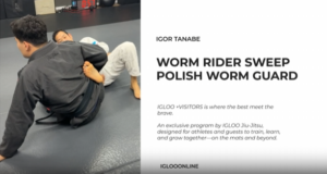WORM RIDER SWEEP FROM POLISH WORM GUARD/IGOR TANABE