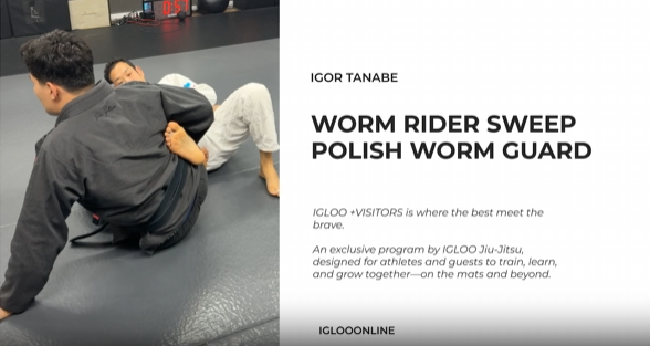 WORM RIDER SWEEP FROM POLISH WORM GUARD/IGOR TANABE