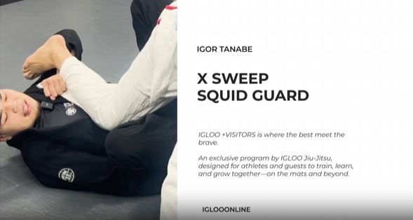 X SWEEP FROM SQUID GUARD/IGOR TANABE